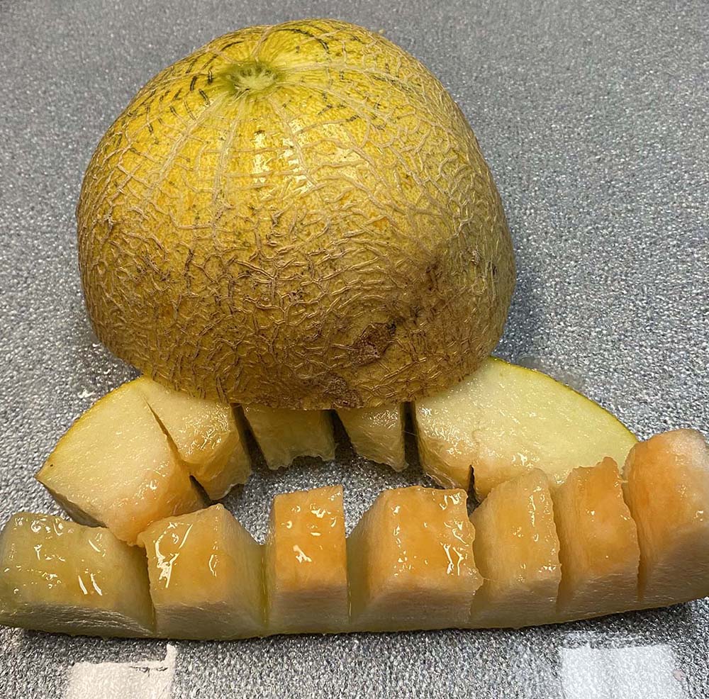 Black Mesa Melon