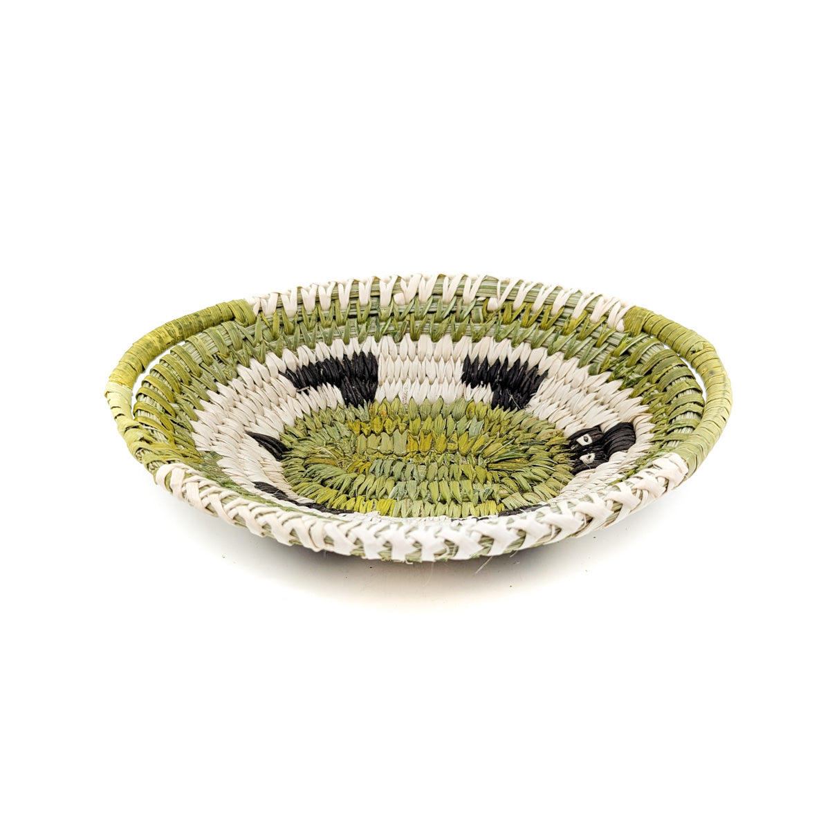 Oval Split Stitch Basket with Desert Tortoise Motif