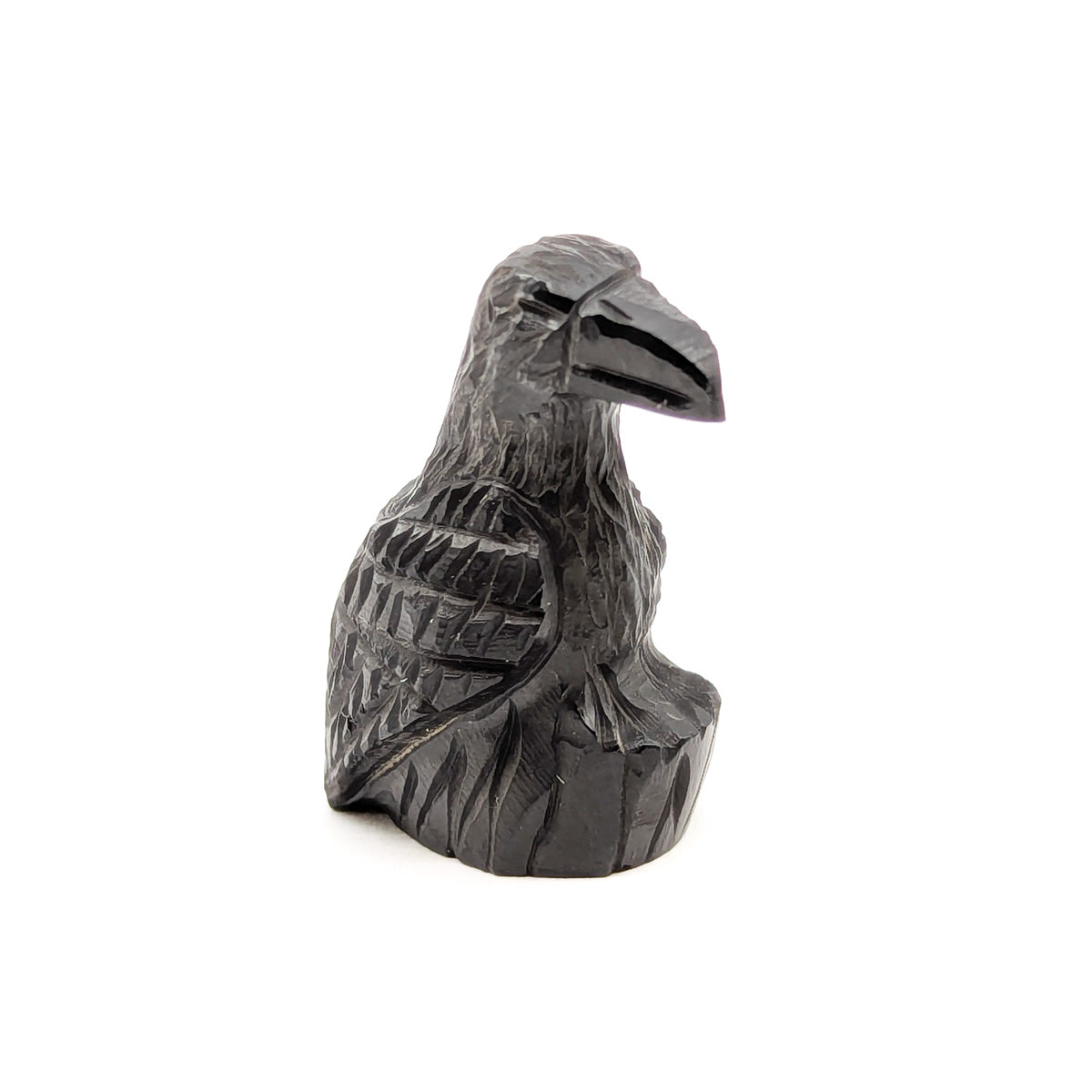 Miniature Black Raven – Native-Seeds-Search