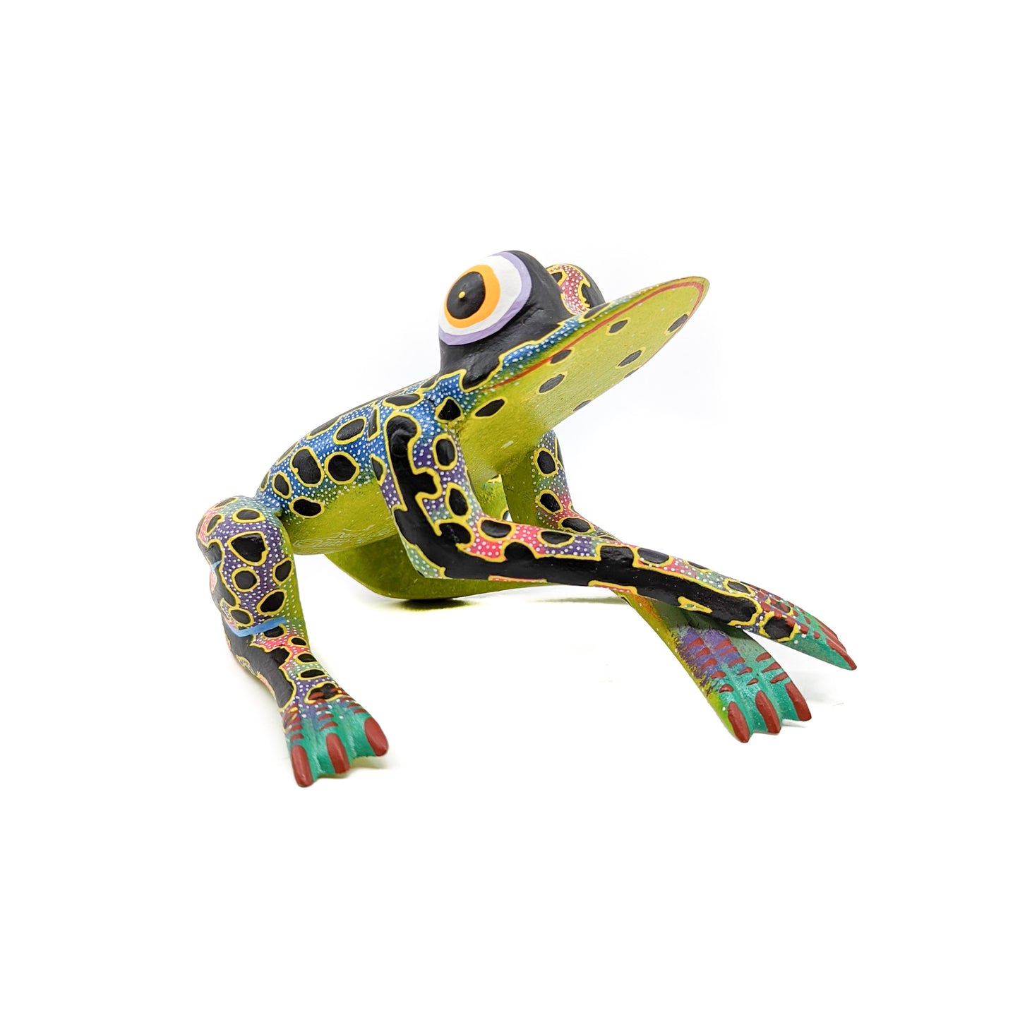 Multi-Colored Frog