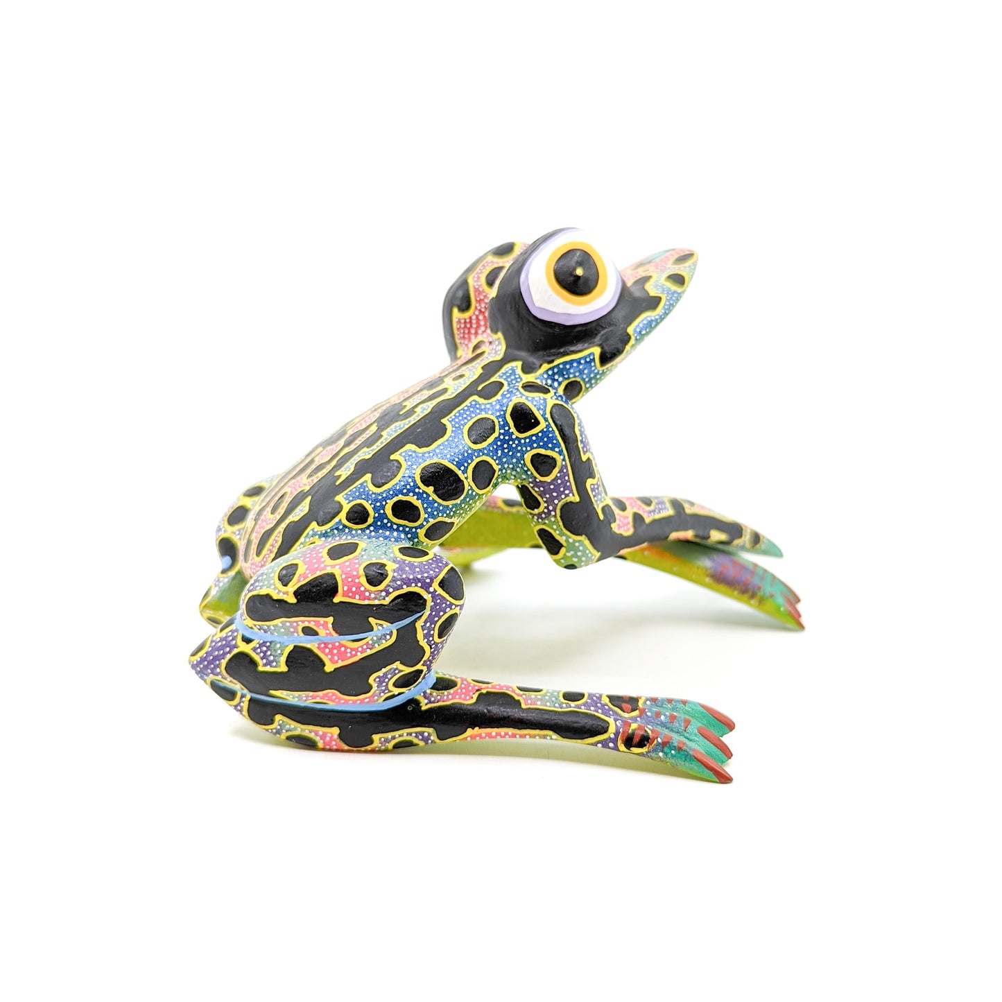 Multi-Colored Frog