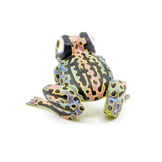 Multi-Colored Frog