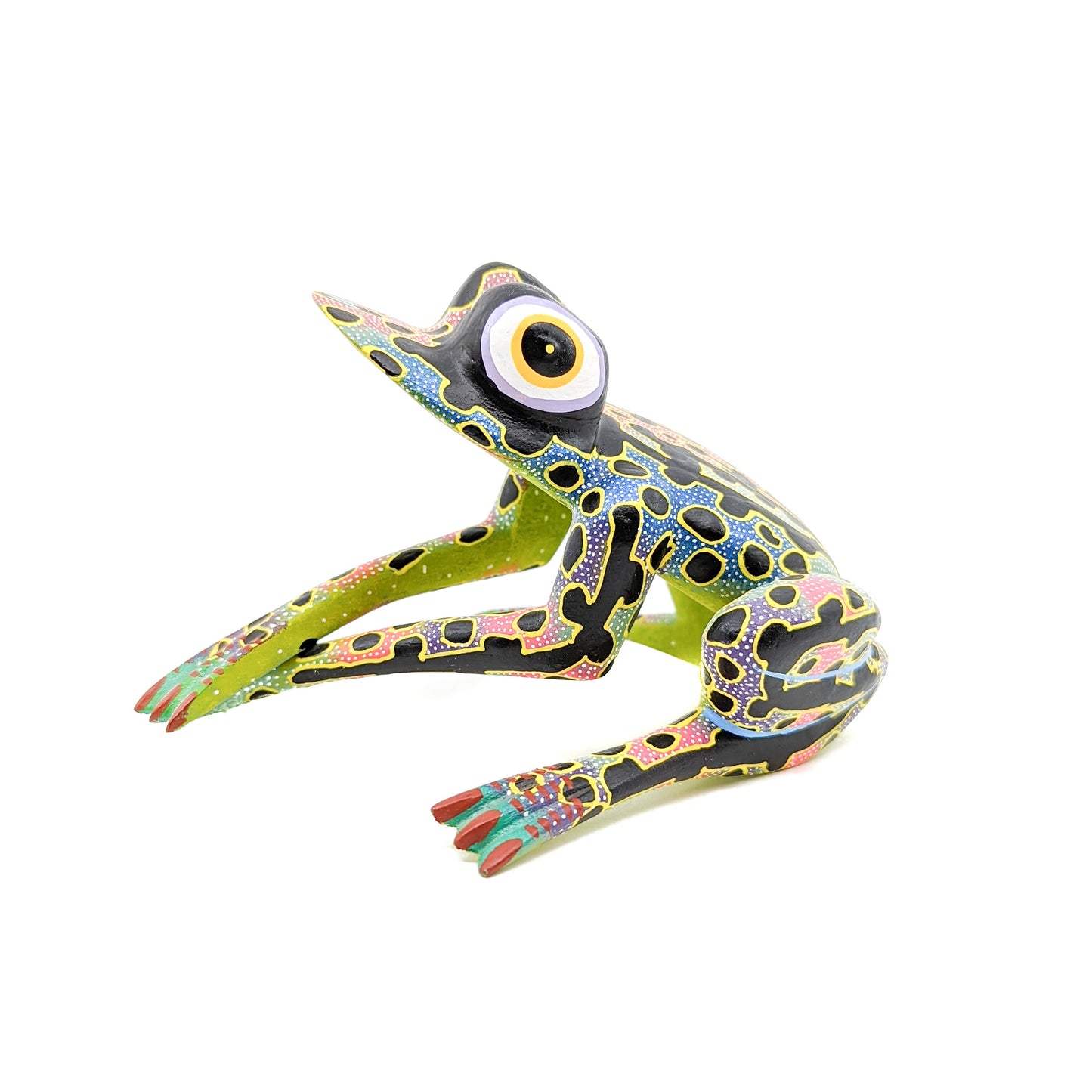 Multi-Colored Frog