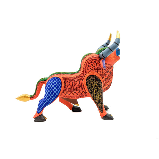 Colorful Bull (Anatomically Correct!)