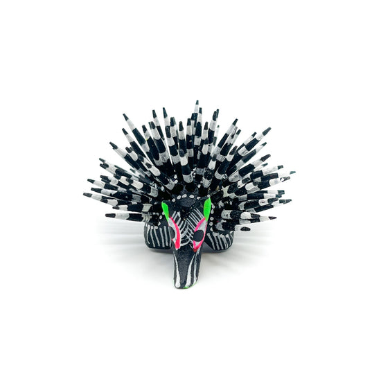 Mini Black & White Porcupine