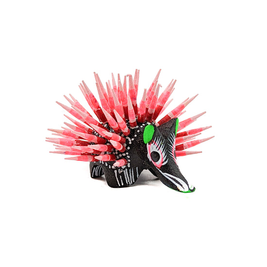 Mini Black Porcupine