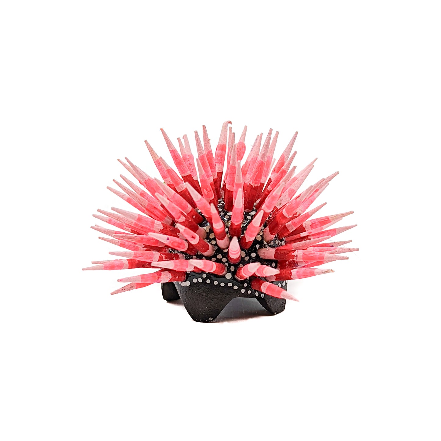 Mini Black Porcupine