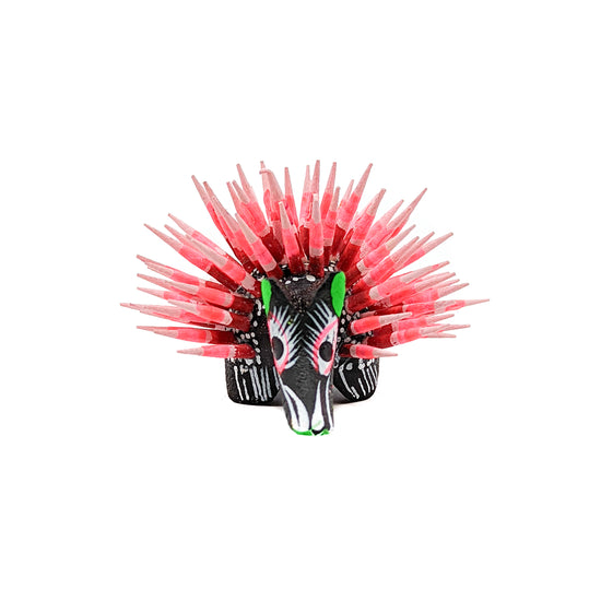 Mini Black Porcupine