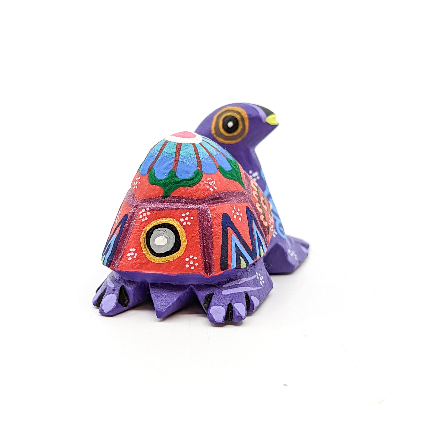 Purple Back Turtle