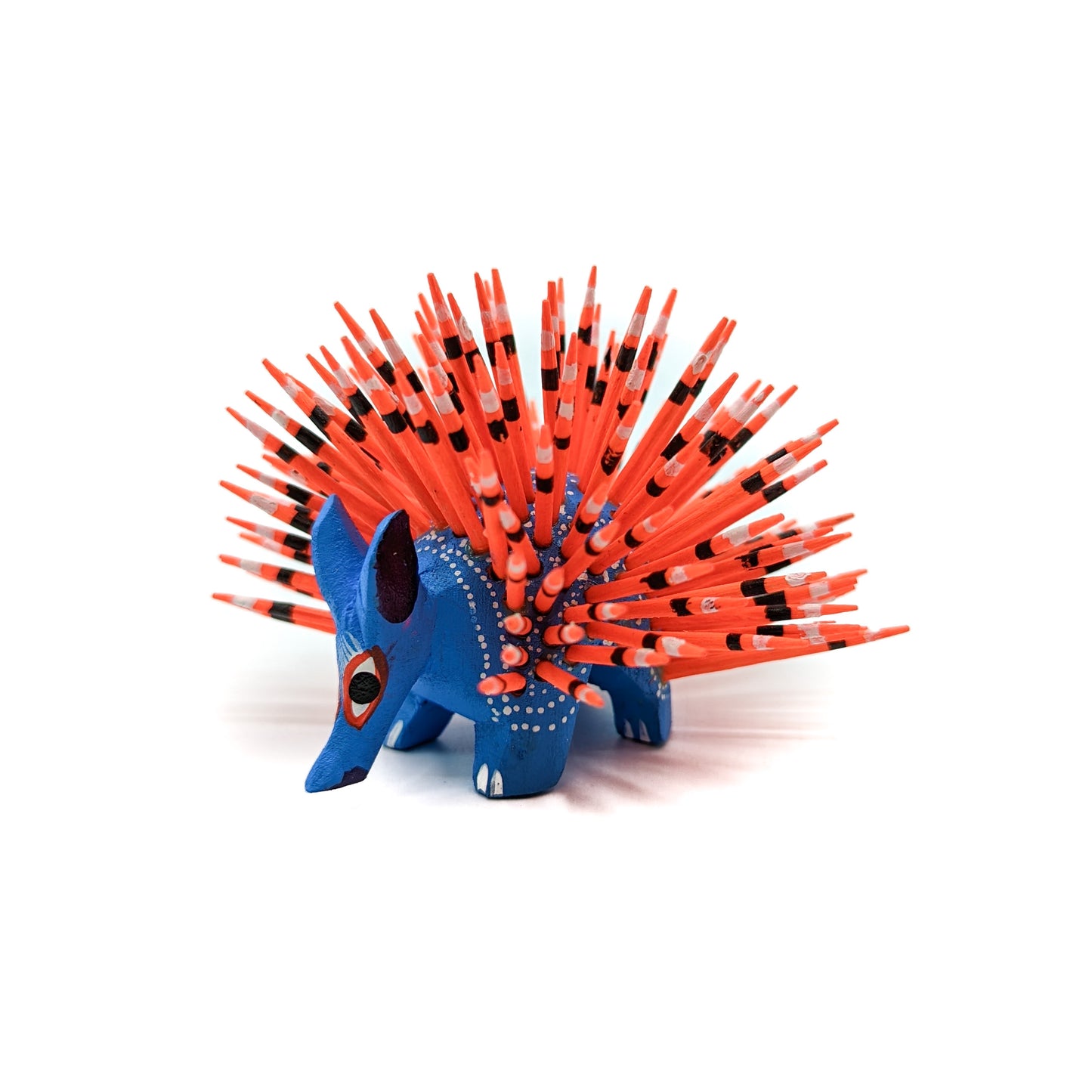 Medium Blue Porcupine