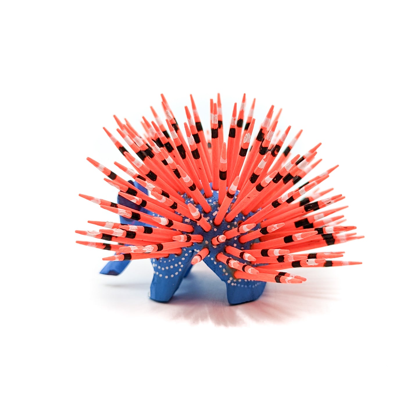 Medium Blue Porcupine