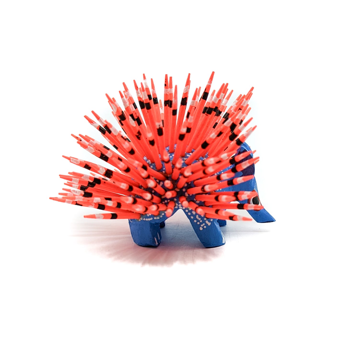 Medium Blue Porcupine