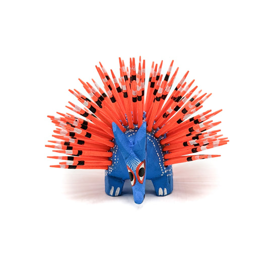 Medium Blue Porcupine