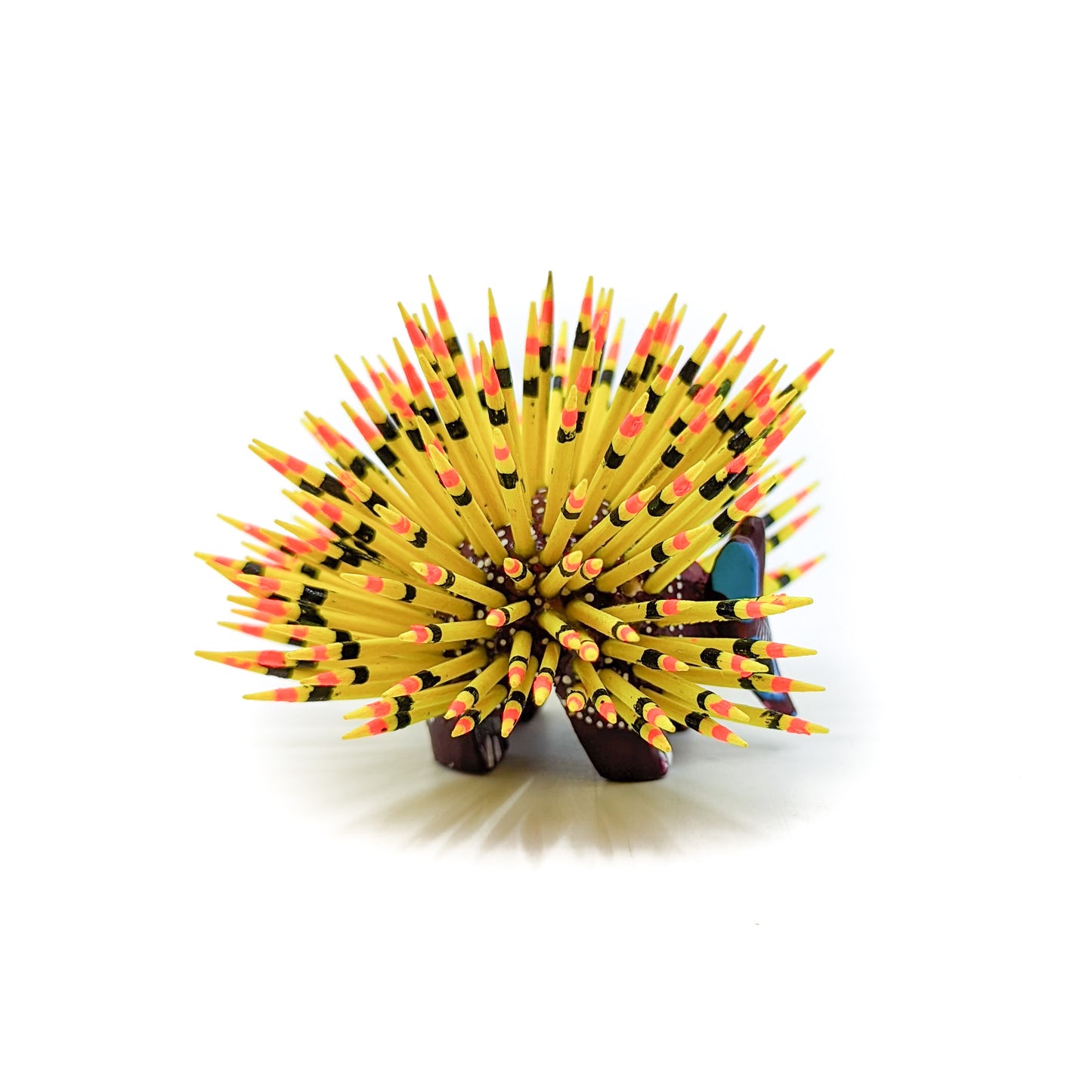 Medium Maroon Porcupine