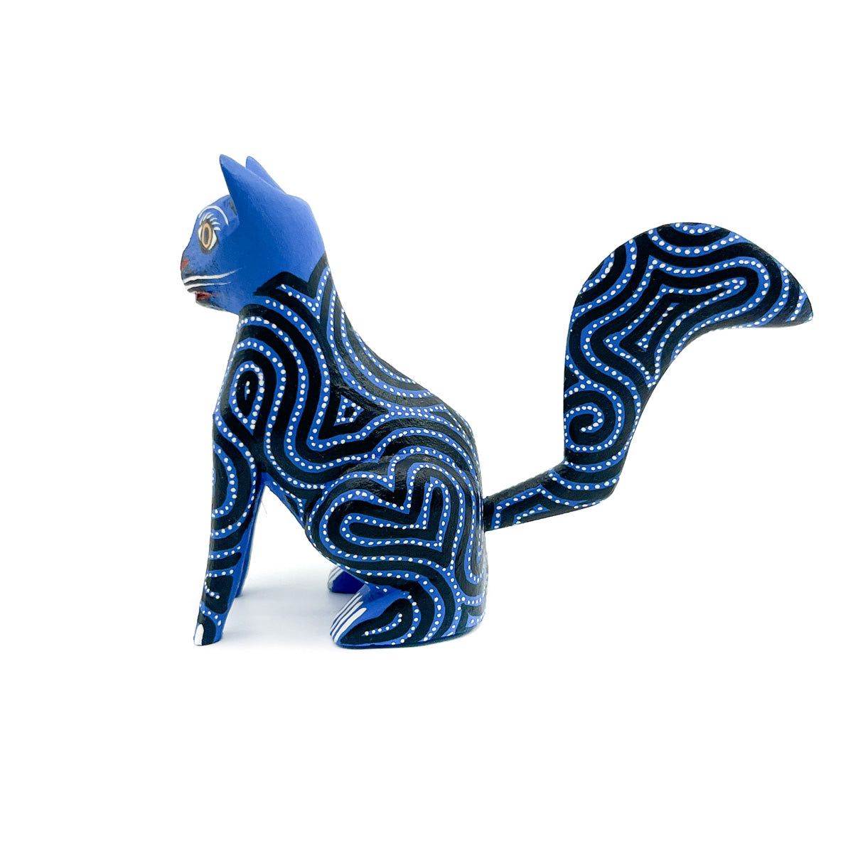 Dazzling Dark Blue Cat