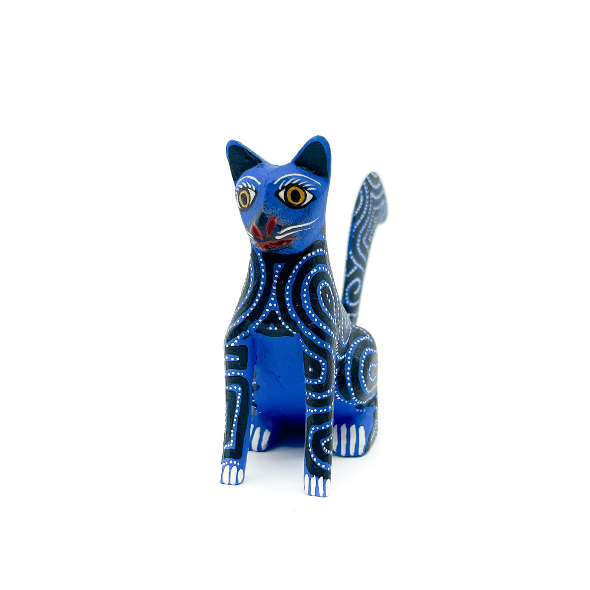 Dazzling Dark Blue Cat