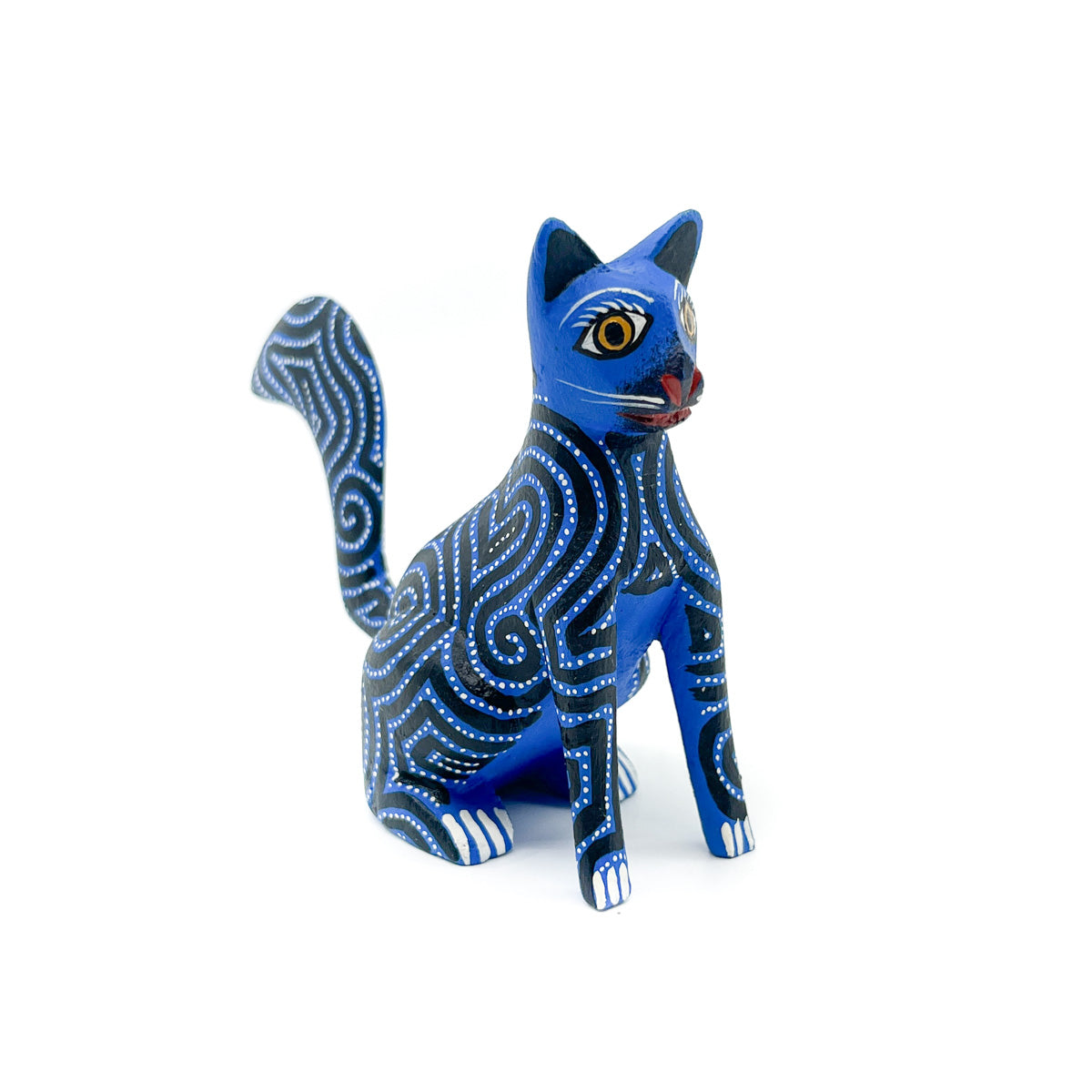 Dazzling Dark Blue Cat