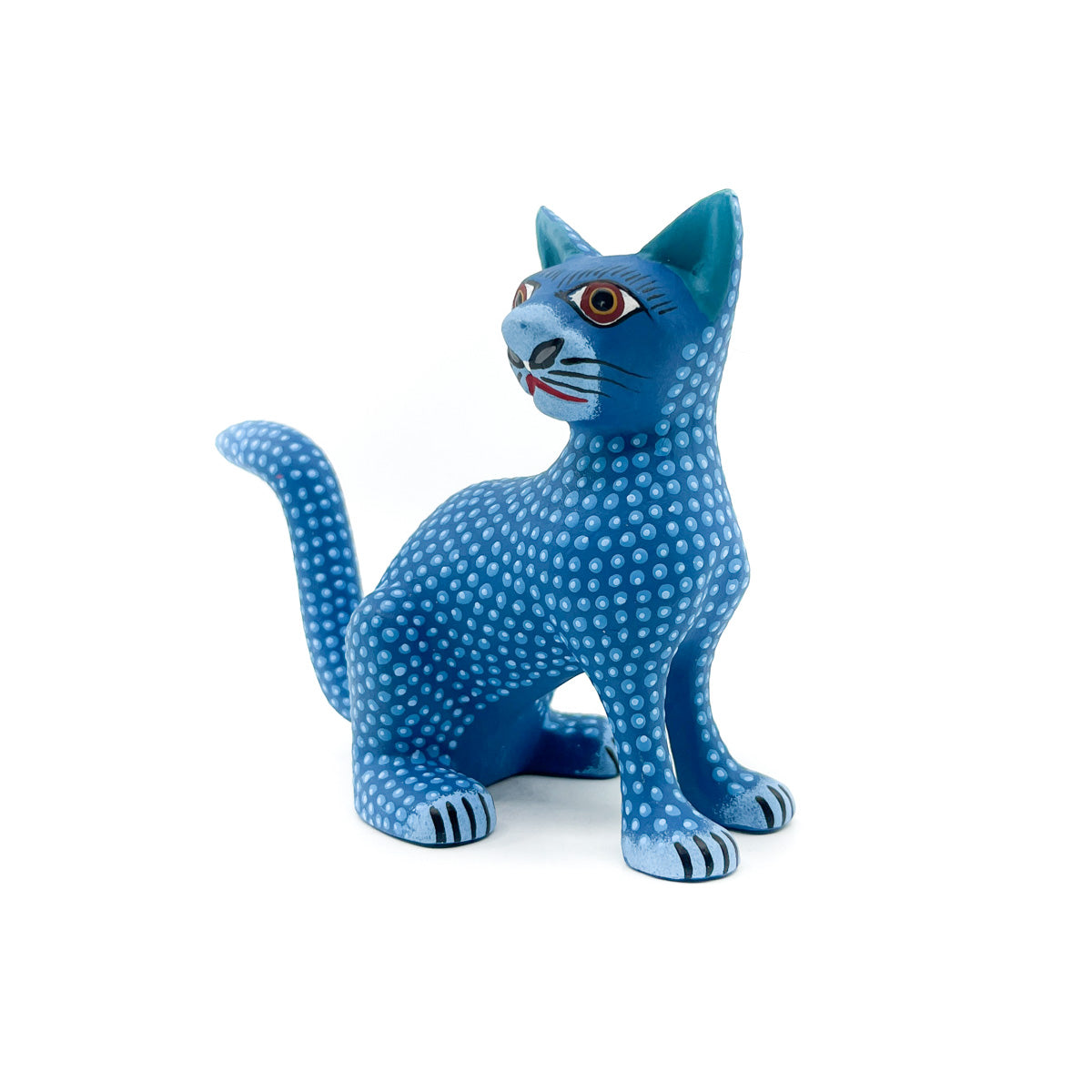 Blue and Teal Spotted Cat