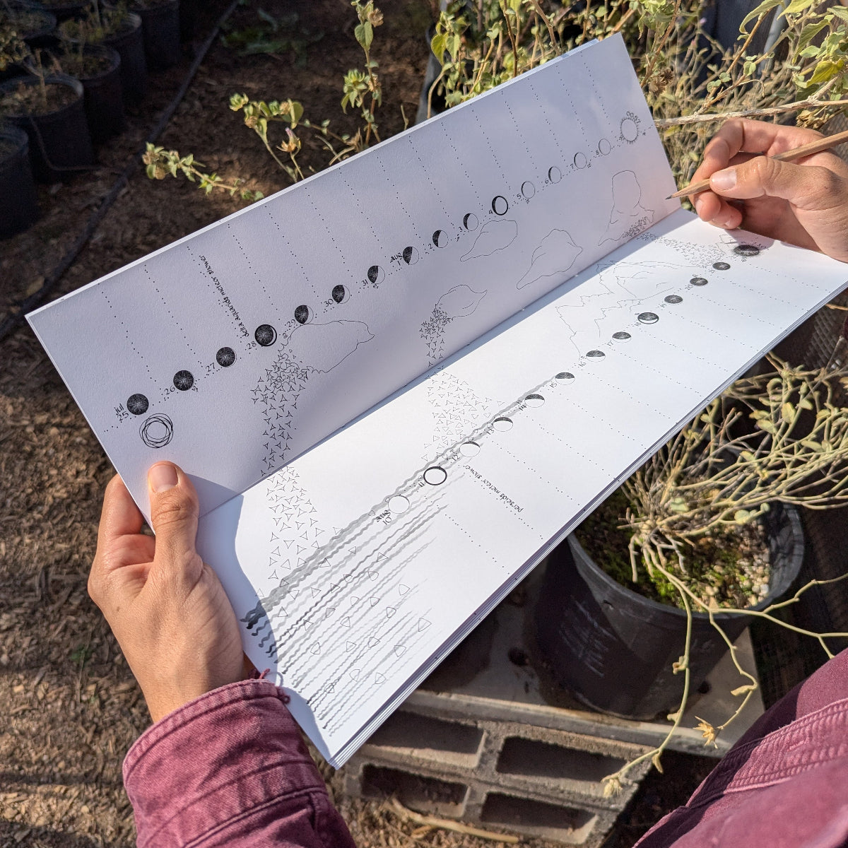 Lunar Tracker Calendar - 2025 Limited Edition