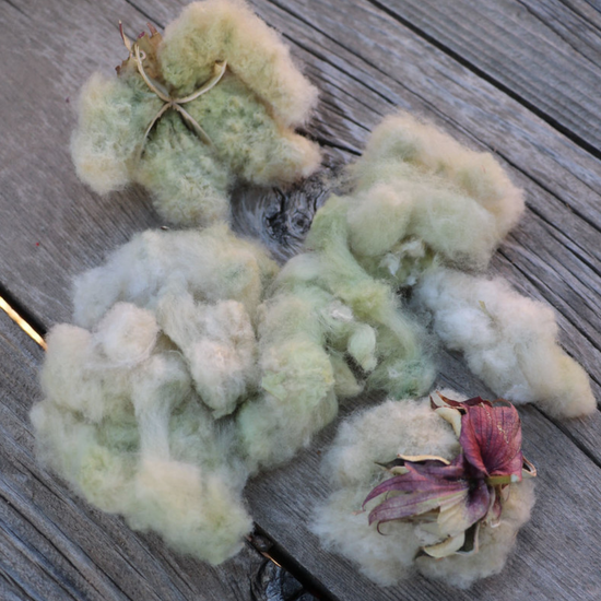 Davis Green Cotton