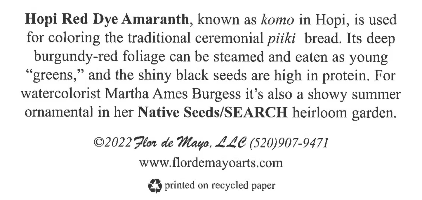 "Hopi Red Amaranth" - Card by Flor De Mayo Arts